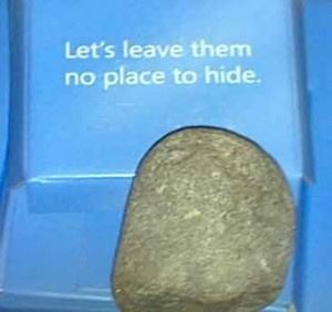 Microsoft rock that they mailed to customers