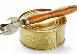 Referral Spam