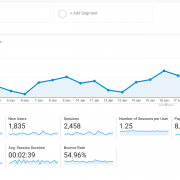 Google Analytics audience overview